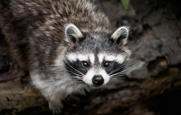 Куда сходить в Москве в марте?